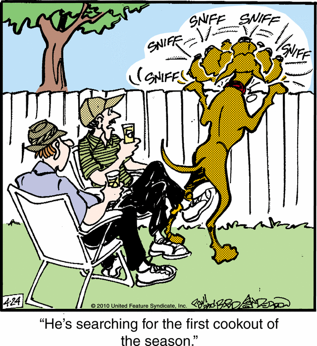 marmaduke